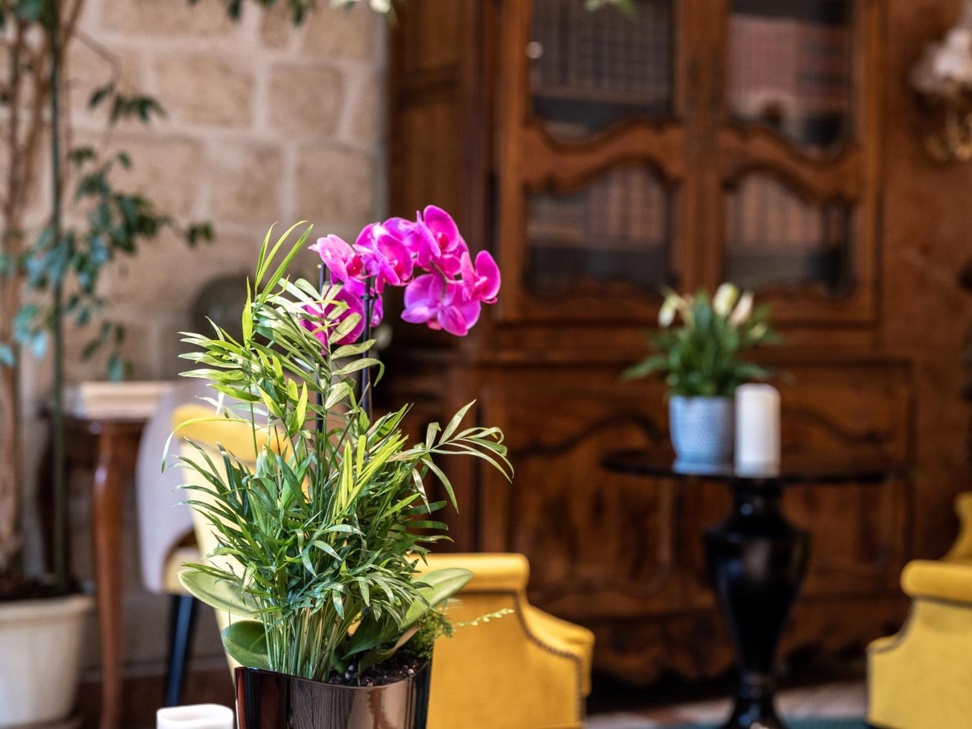 פריז Hotel Minerve מראה חיצוני תמונה